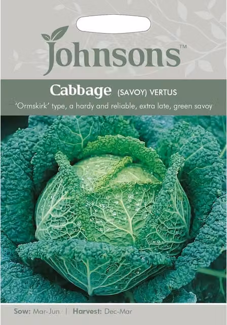 Johnsons Savoy Vertus Cabbage Vegetable Seeds, Green