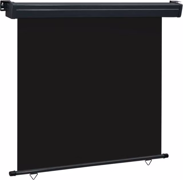 Berkfield Home Balcony Side Awning in Black, W/H: 160 x 250 cm