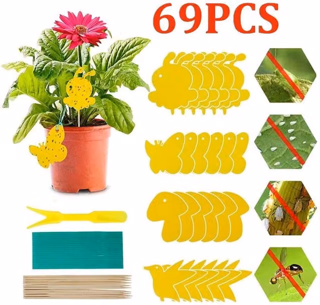 SPETLEK 69 Pack Yellow Fruit Fly and Fungus Gnat Traps for Indoor Plants and Ornamental Gardens, W/H: 100 x 15 cm