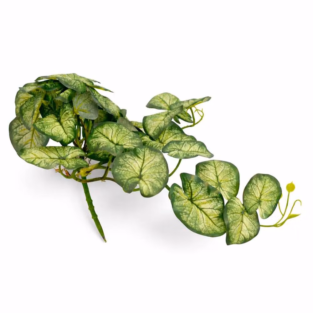 Leaf UK Artificial Hanging Heart Leaf Plant in Green – 2