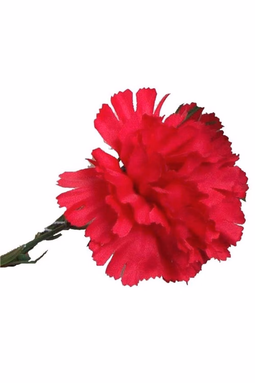 KDMD Red Single Carnations, 2 Pack of 12 Stems – 2