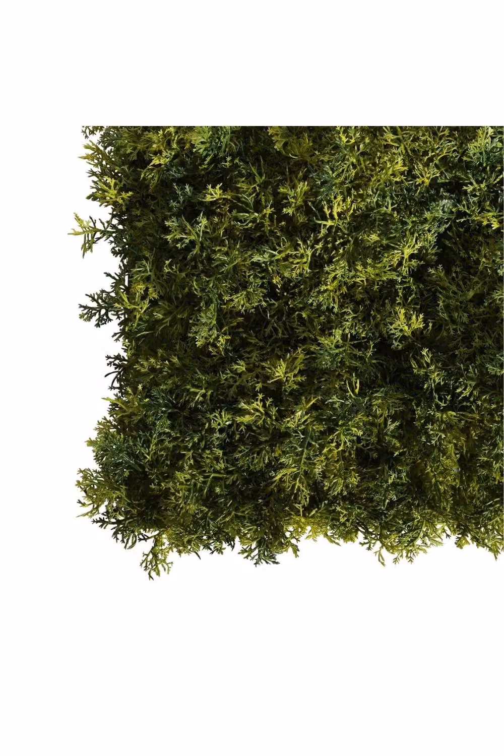 KDMD UV Botanica Moss Mat Green Floral Rectangular Textile Tabletop Mat – 2
