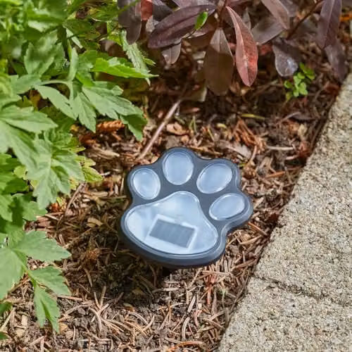 mysmartbuy Set of 4 Solar Powered Paw Print Design Garden Stake Lights in Black with Cool White LEDs, W/D/H: 9 x 9 x 9 cm – 3