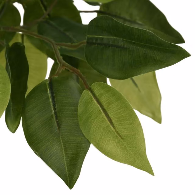 Berkfield Home Realistic Artificial Ficus Tree, Green, Height: 150 cm