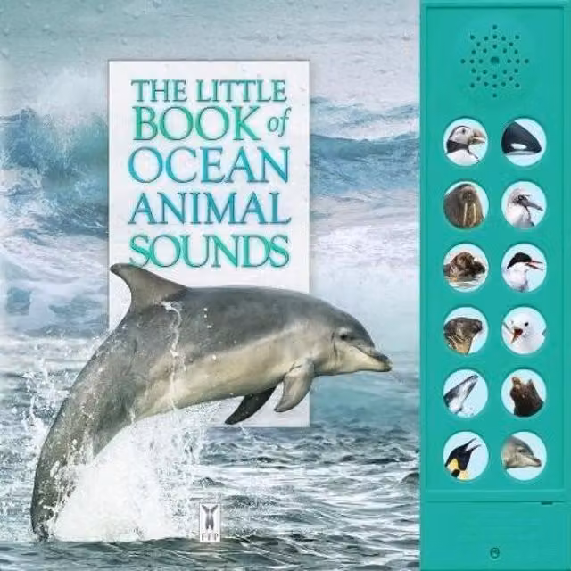 Andrea Pinnington Little Book of Ocean Animal Sounds Multicolour Board Book