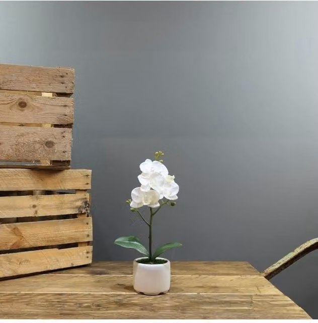 KDMD Artificial White Phalaenopsis Orchid in Ceramic Planter, 1 Stem, Height: 32 cm