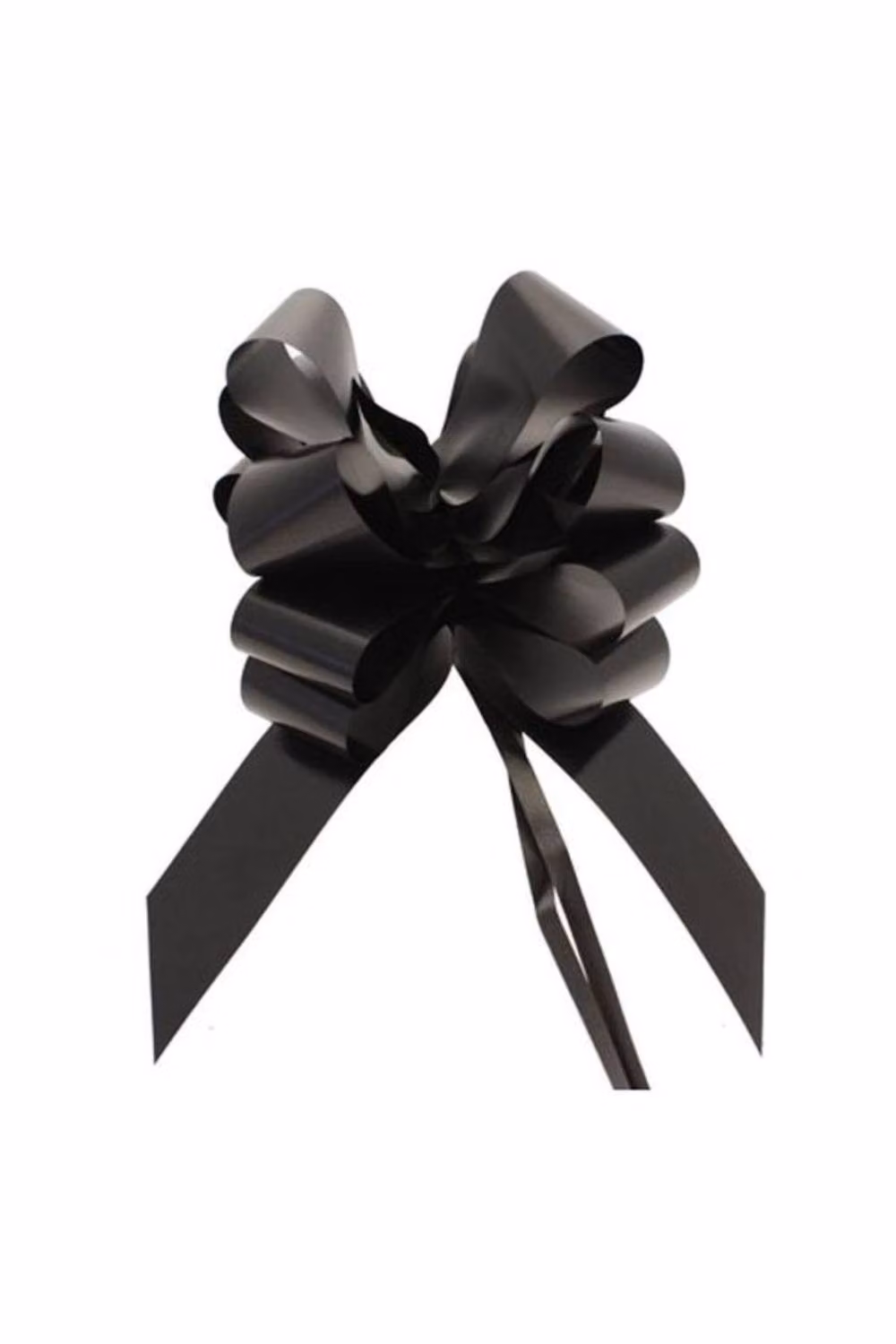 KDMD Black Single Pull Bows, 50mm, 12 Pack – 2