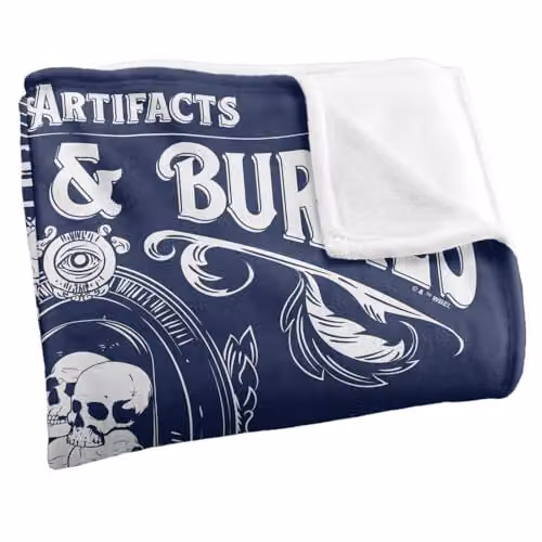 Warner Bros. Harry Potter Borgin and Burkes Silky Touch Super Soft Fleece Throw Blanket, Multicolour, W: 152.4 cm x L: 152.4 cm – 2