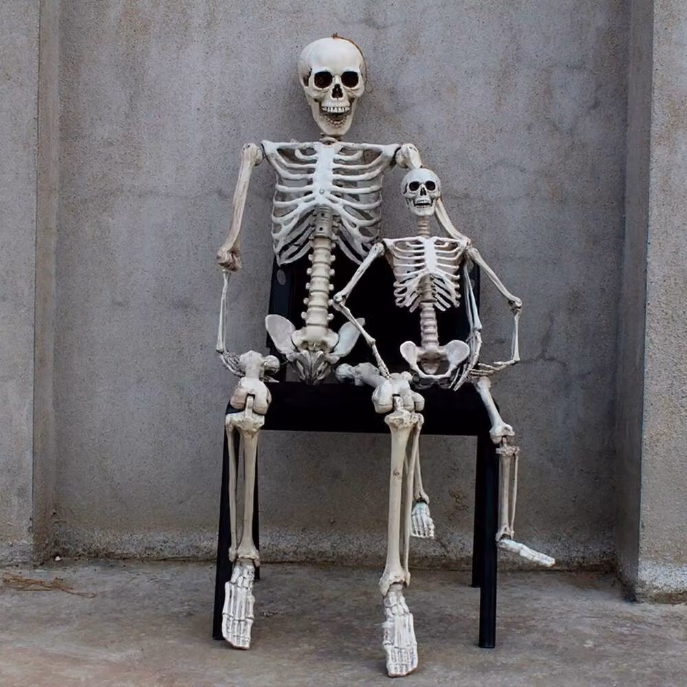 NESTLUNE White Poseable Human Skeleton Halloween Prop, H 100 cm x W 15 cm x D 1 cm – 2