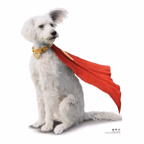 Star Cutouts Superman Movie David Corenswet with Krypto Cardboard Cutout, Height: 94 cm