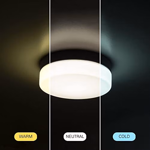 Netlighting FORLIGHT Giro LED Outdoor Flush Ceiling Light, Black, IP44 – 3