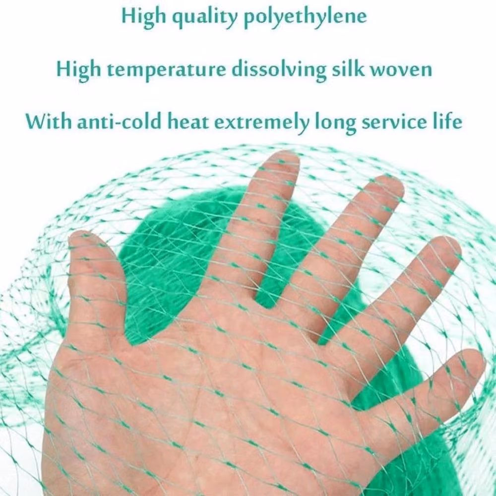 SPETLEK Green Bird Netting for Crops and Fruit, 2 x 10m – 2