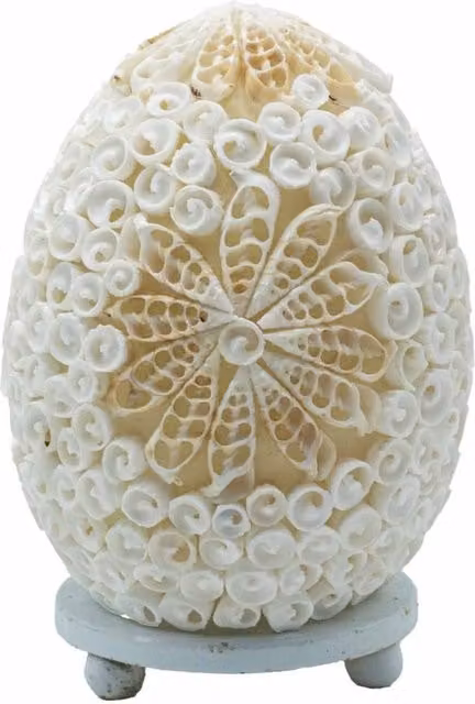 KDMD Boho Sea Shell Tabletop Lamp, Oval Cut Art Coastal Decor in White, Height: 15 cm