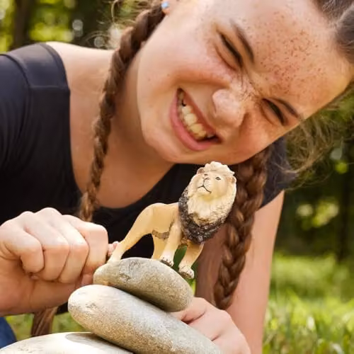 Schleich Wild Life Lion Toy Figurine, Brown – 7