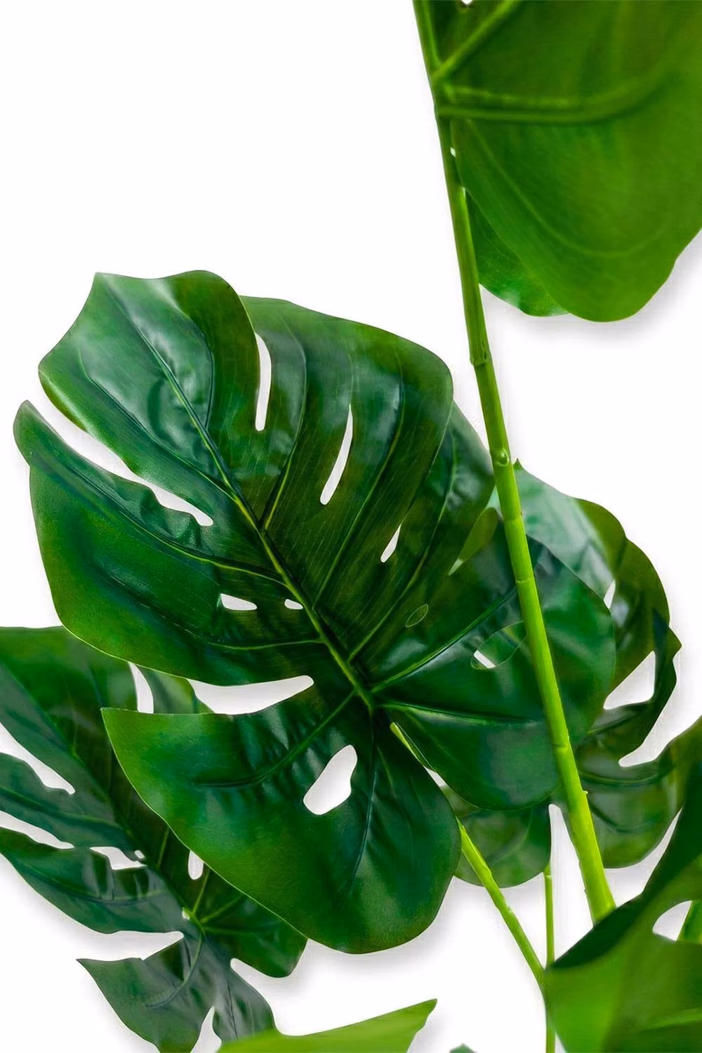 Homescapes Artificial Monstera Tree, Green, Height: 100 cm – 3