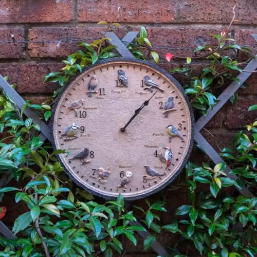 mysmartbuy Wild Birds Design Indoor or Outdoor Analog Wall Clock, Brown, Diameter: 30 cm – 2