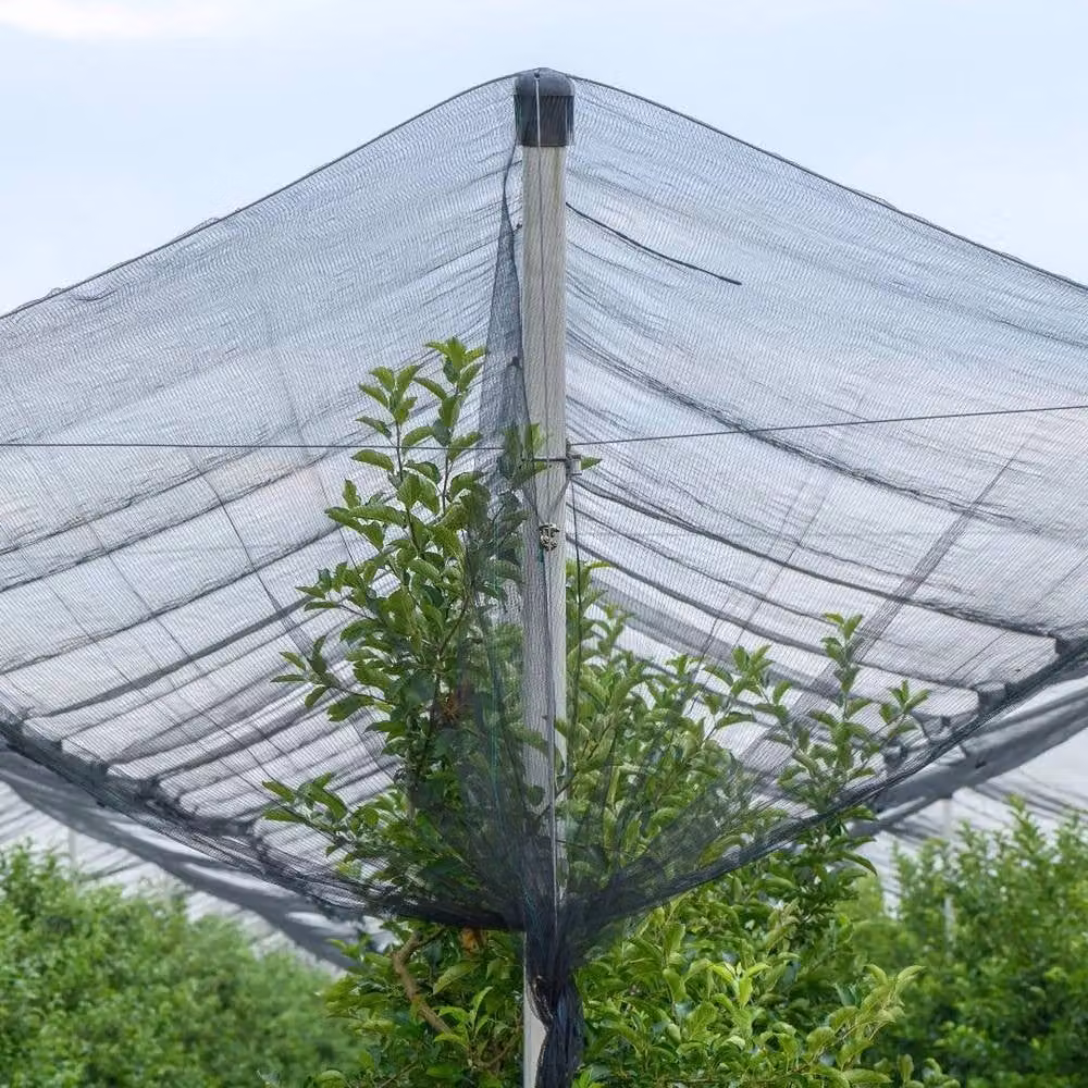 NESTLUNE Black Anti Bird Netting with 50 Cable Ties, W: 10 m, D: 6 m – 3