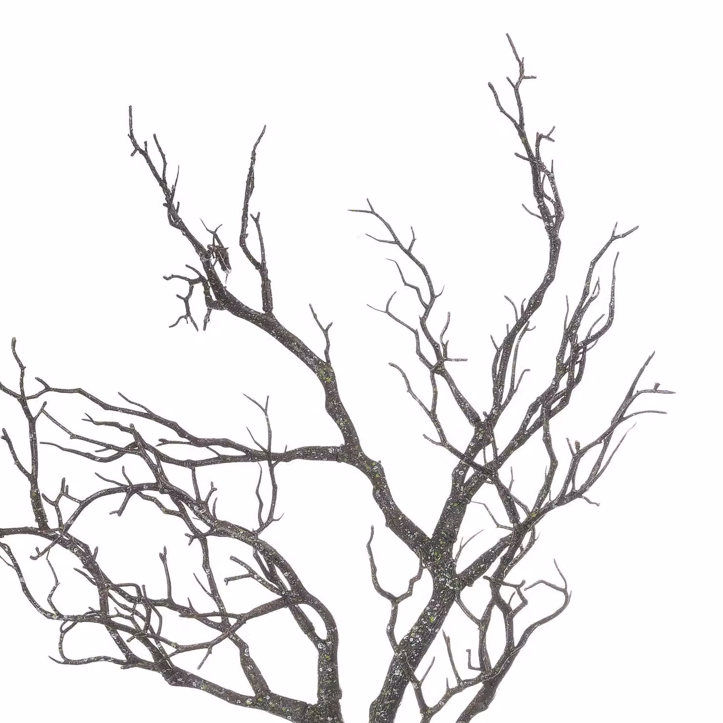 Love Lace Large Branch Spray in Brown, White and Green – 2