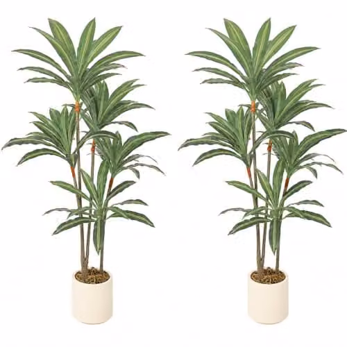 HOMCOM Set of 2 Artificial Dracaena Trees with Bendable Trunks, Green and White, Height: 150 cm – 1