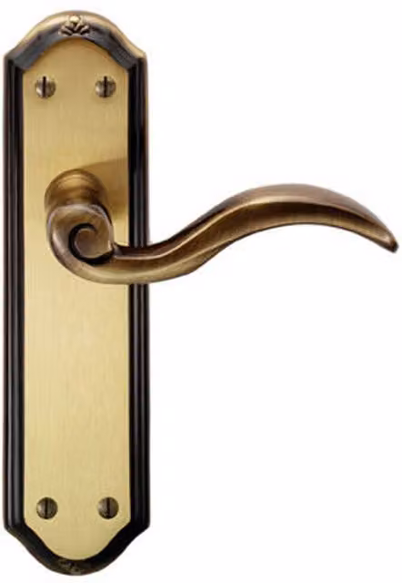 Loops Pair Spiral Sculpted Handle on Latch Backplate, Florentine Bronze, W: 180 mm, H: 48 mm
