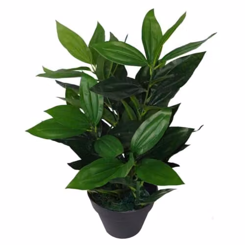 Leaf Design UK Large Bushy Artificial Evergreen Potted House Plant in Green, Height: 70 cm
