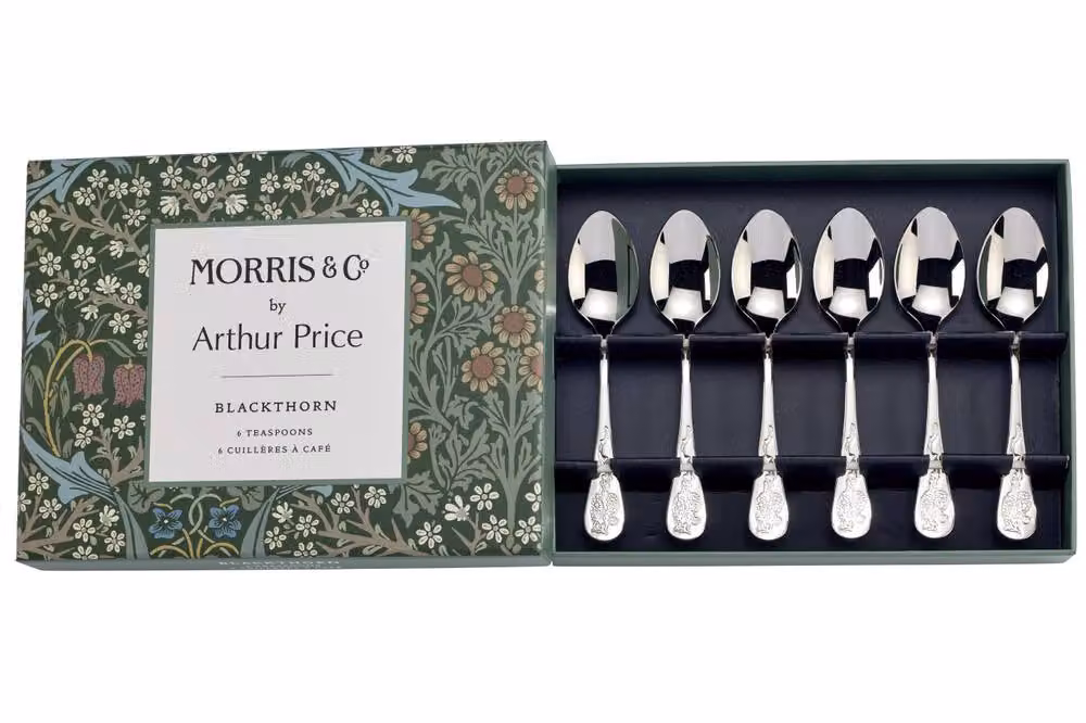 Arthur Price Morris & Co. Blackthorn Silver Plated Tea Spoon Gift Set of 6 – 3