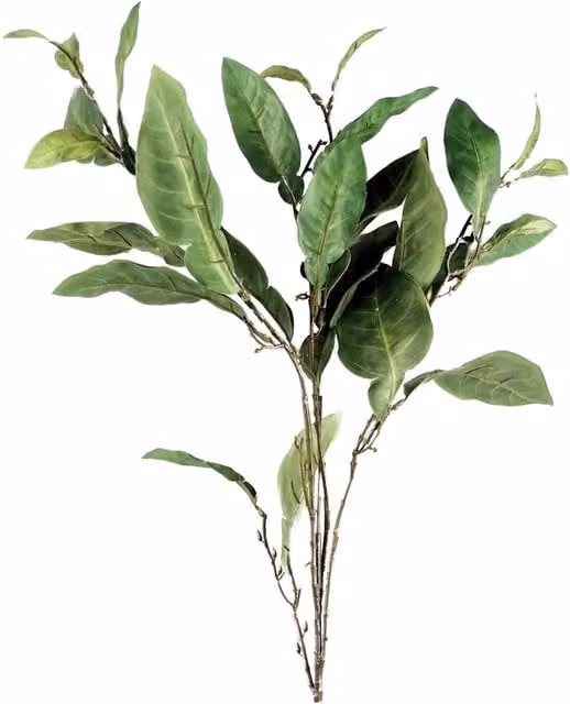 Dyzi Artificial Ficus Foliage Branch Stem, Green, Height: 90 cm