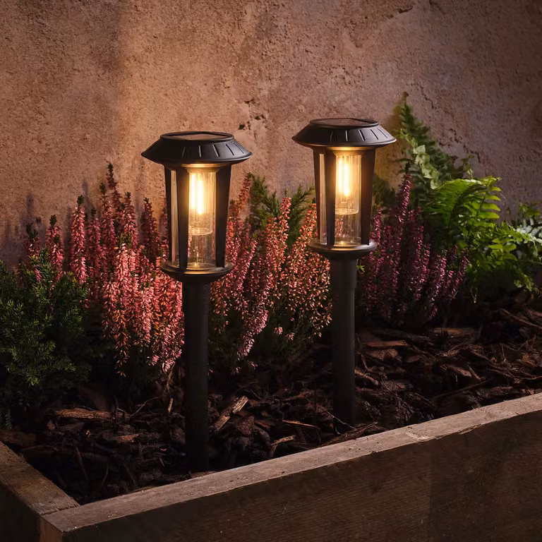 Syon Solar LED Stake Lights in Black with Transparent Glass Cylinders