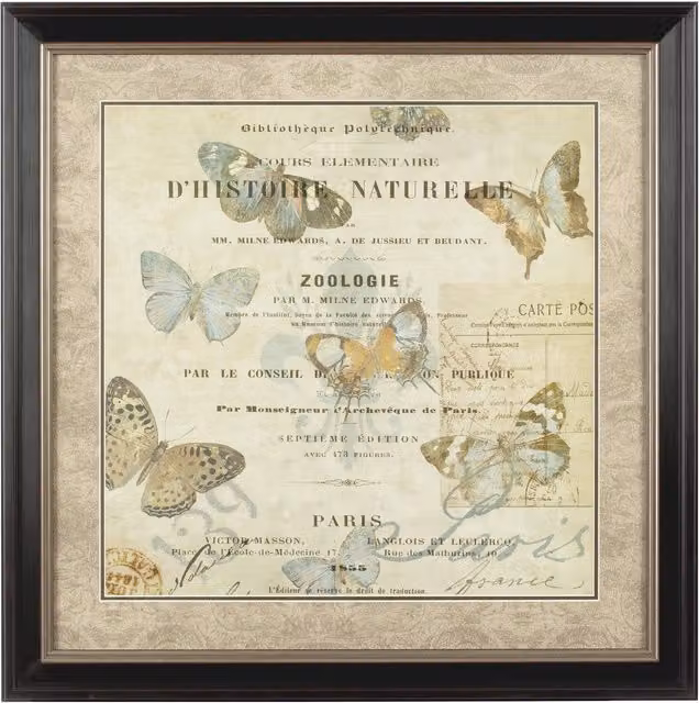Orsina Framed Butterfly 2 Wall Art in Brown and Blue Antique Style