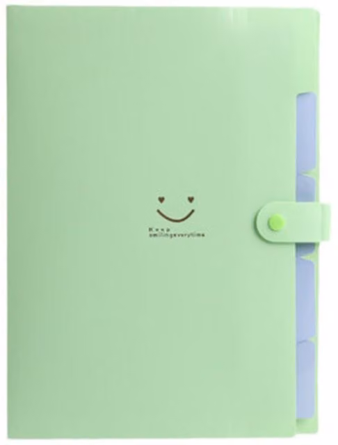 Jaoyeh Trading Ltd 2-Piece A4 Smiley Face Multi-Layer Organiser Paper Bag Folders in Green