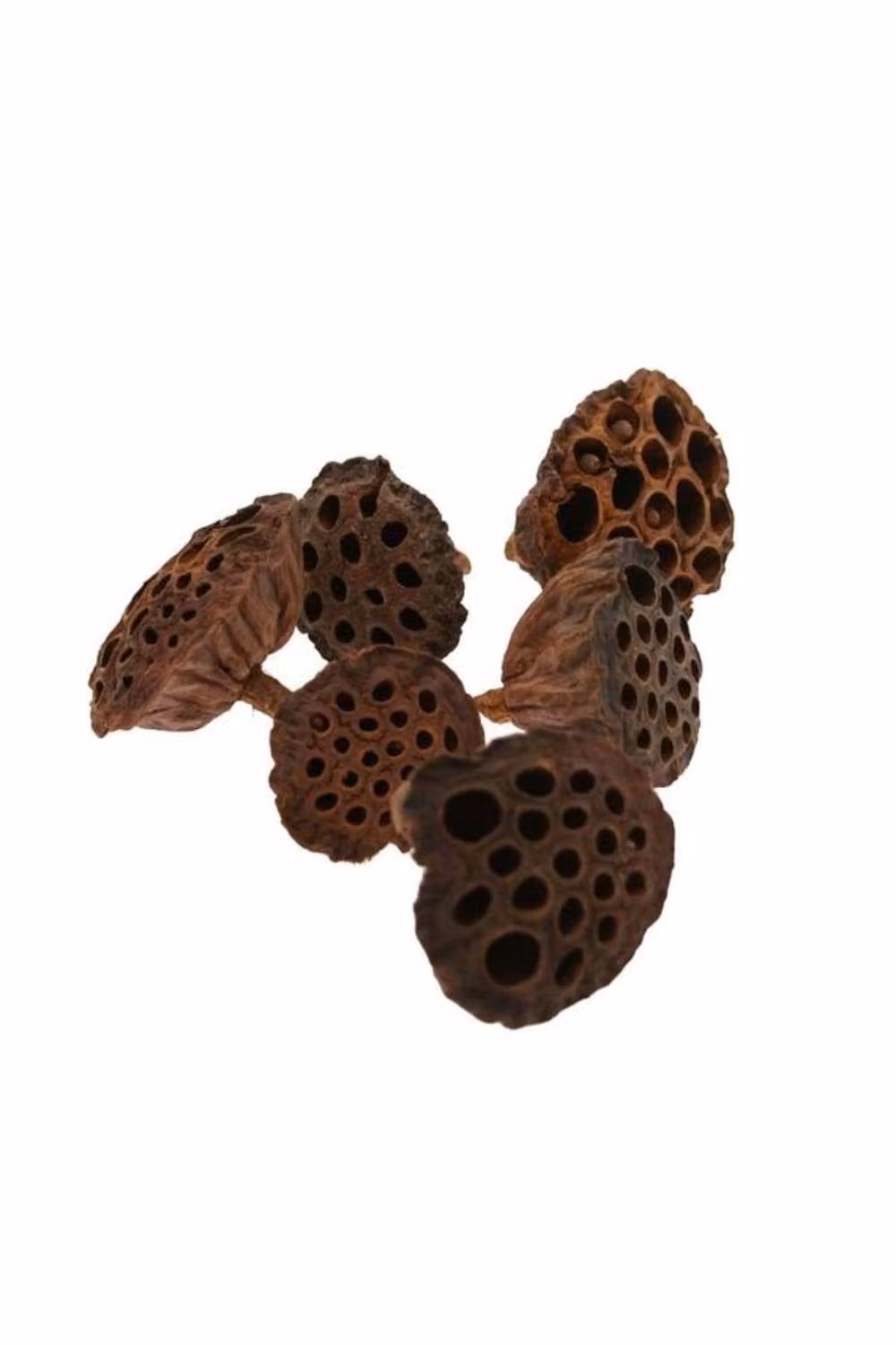 KDMD Large Brown Lotus Flower Christmas Hanging Ornament – 2