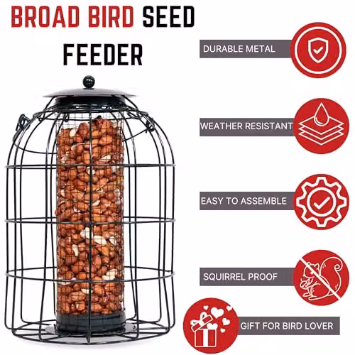 Samuel ALEXANDER Pack of 6 Black Metal Wild Bird Hanging Nut Feeders with Squirrel Guard – 10
