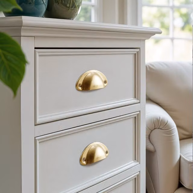 Pack of 2 Darphe Polished Brass Shell Cup Furniture Handles in Gold