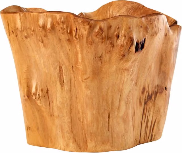 Orsina Natural Cedarwood Kora Deep Bowl in Gold and Brown