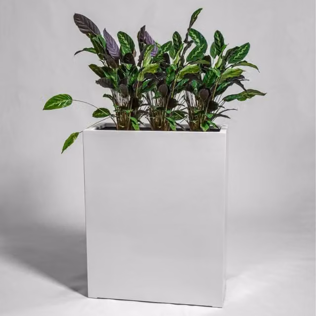 Primrose Gloss Polystone High Trough Planter, White, W/D/H: 100 x 80 x 40 cm