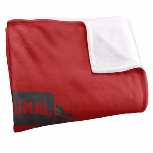 Warner Bros. Superman Man of Steel Silky Touch Super Soft Throw Blanket, Multicolour, W: 152 cm, D: 127 cm – 2