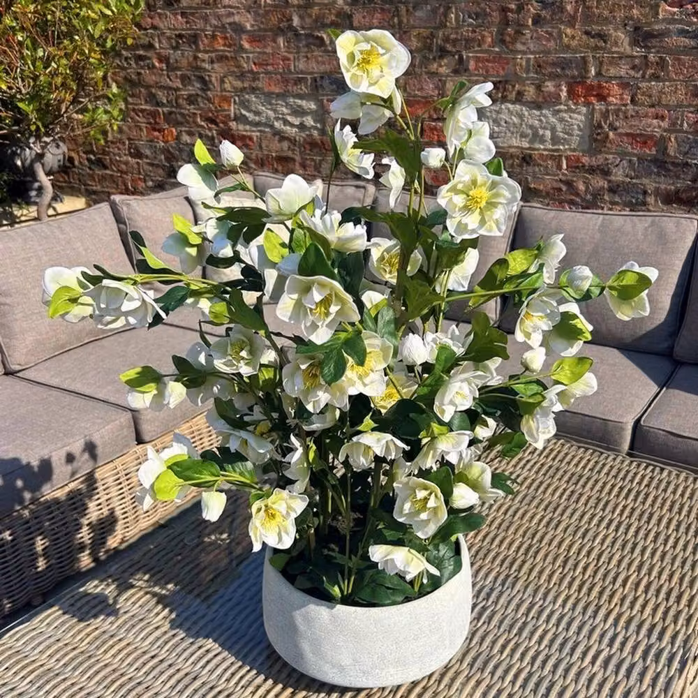 Lemon Pavilion Furniture and Decor Large Hellebore in Pot, Plastic, White/Grey, W: 52 cm, D: 52 cm, H: 85 cm – 2