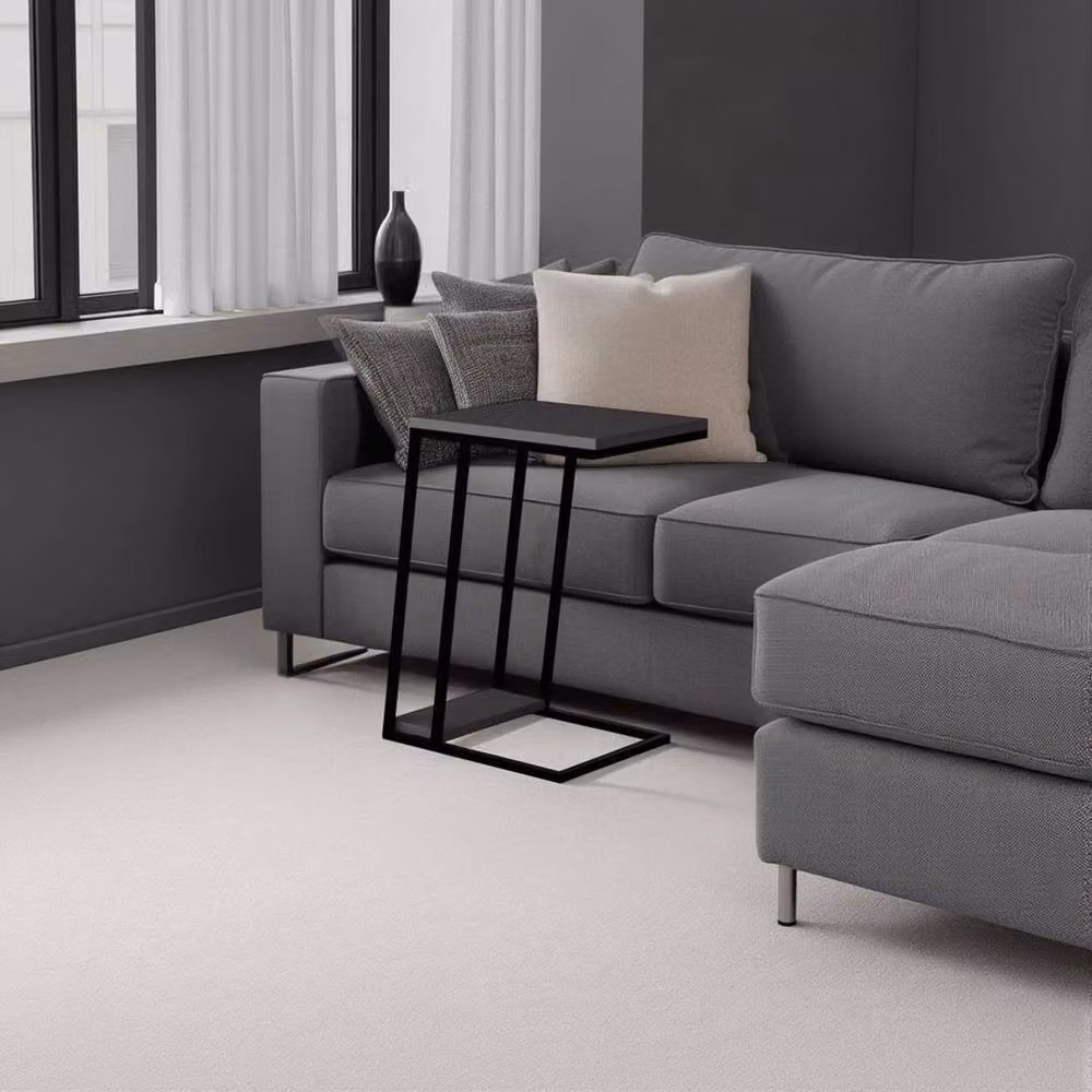 ERGOVEXA 2 Tier Modern Metal Frame Sofa End Table in Black – 3