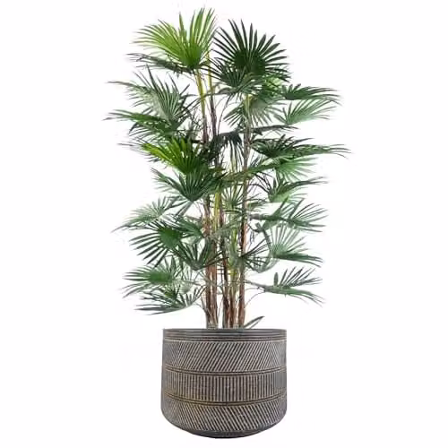 Leaf Design UK Large Round Rustic Grey Planter with Leaf Design, H 43 cm x W 43 cm x D 29 cm – 2