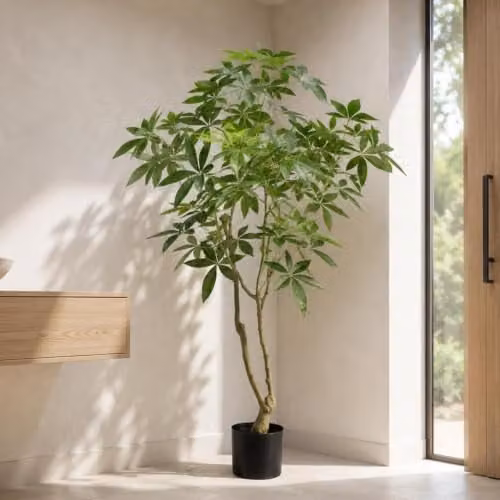 Botanik Realistic Artificial Money Tree Pachira Faux Plant, Green, H 150 x W 90 x D 90 cm