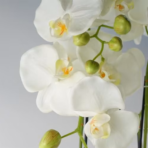 Leaf Realistic Artificial White Orchid Plant with 189 Flowers, Height: 150 cm – 3