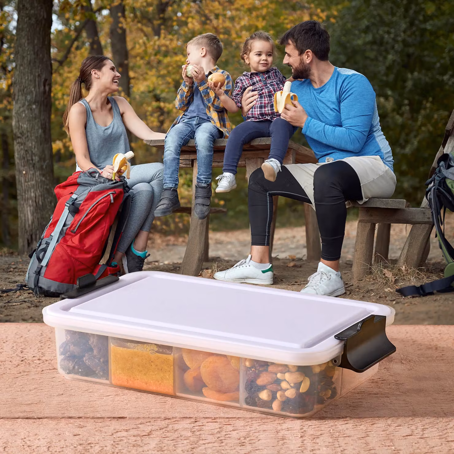 Farberware Multi-Purpose Food Storage Container with 11 Dividers and Chopping Board Lid, Transparent, W/D/H: 32.26 x 20 x 19.8 cm – 6
