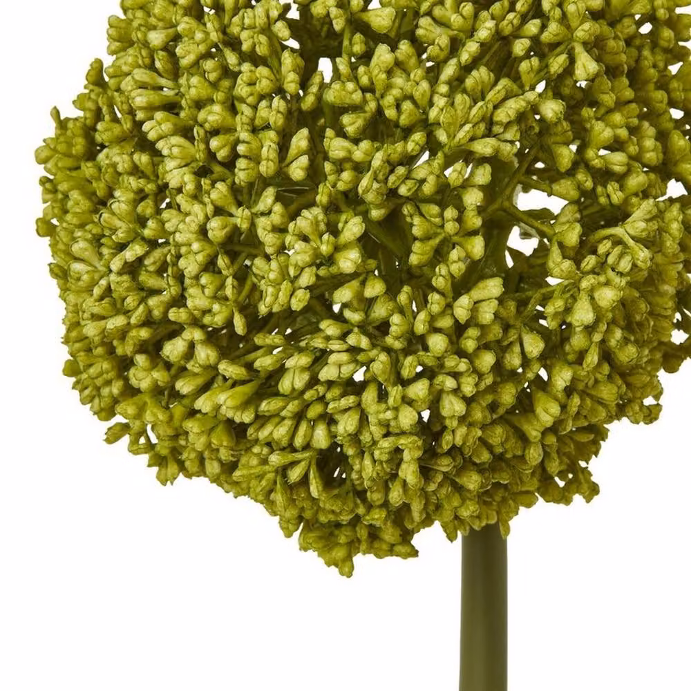 Lemon Pavilion Green Plastic Allium Single Stem Flower, Height: 75 cm – 2