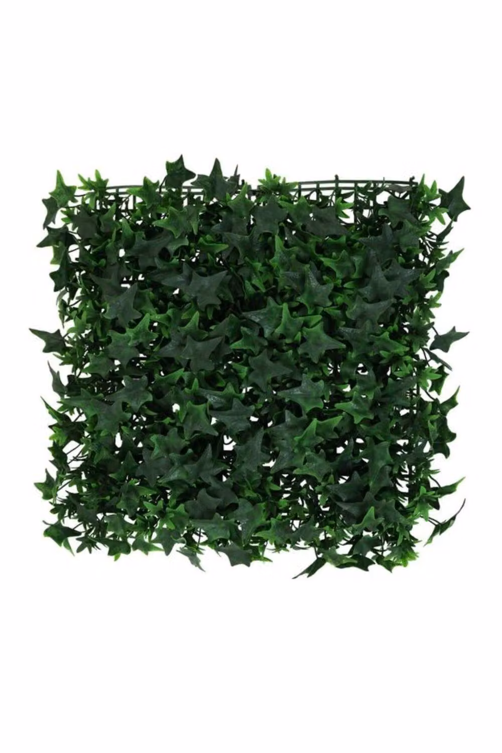 KDMD Green Exterior Ivy Wall, W x H: 50 x 50 cm – 2