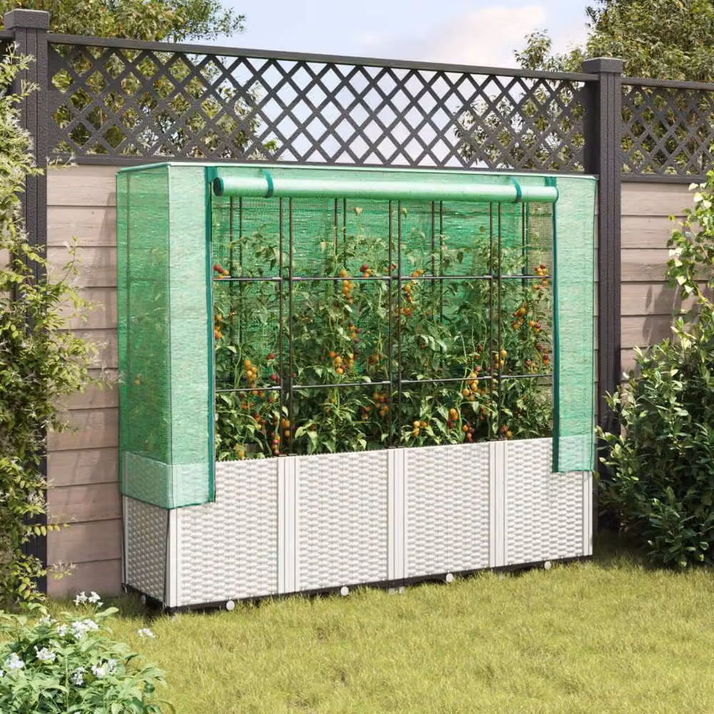 Berkfield Home Raised Bed with Greenhouse Cover in White Rattan Look, W/D/H: 160 x 40 x 153 cm – 2