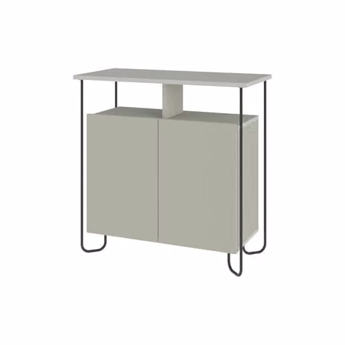 FWStyle Matt Ash Green 2 Door Sideboard with Metal Frame and Open Shelves, W/D/H: 80 x 40 x 80 cm