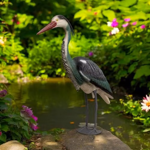 St Helens Home & Garden Life-Sized Decoy Heron Bird Scaring Device in Green, H 71 cm x W 22 cm – 2