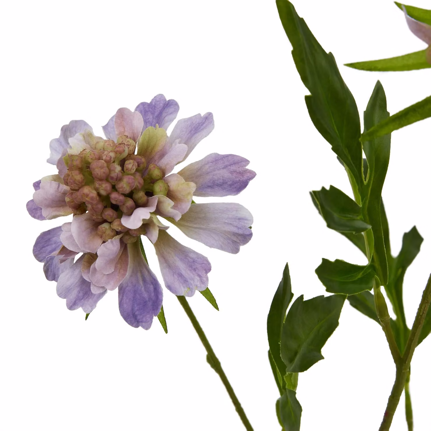 Hill Interiors Scabious Stem Artificial Plant, Purple – 2