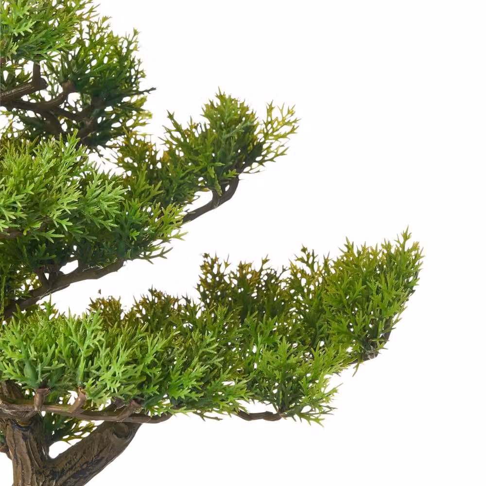 Wyld and Coco Artificial Oriental Bonsai Tree in a Black Concrete Pot, Green, Height: 37 cm – 5