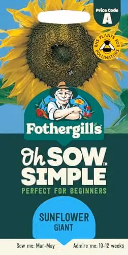 Fothergill's Oh Sow Simple Yellow Sunflower Giant Flower Seeds